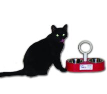 mini-KittyKaddy cat dish